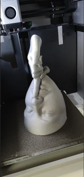 7Art 3D Silent Face Wall Planter – Modern Sculptural Hanging Pot